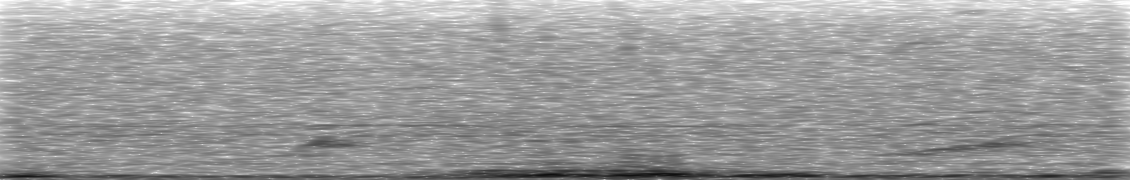 [Loading Spectrogram]