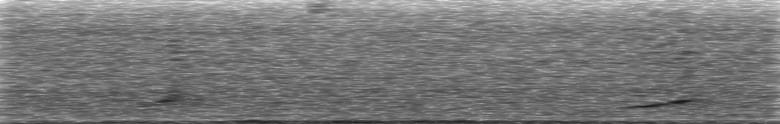 [Loading Spectrogram]