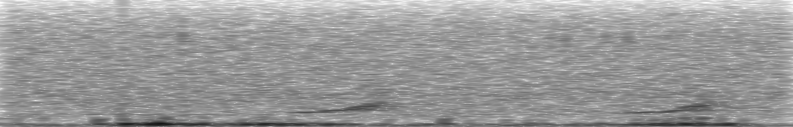 [Loading Spectrogram]