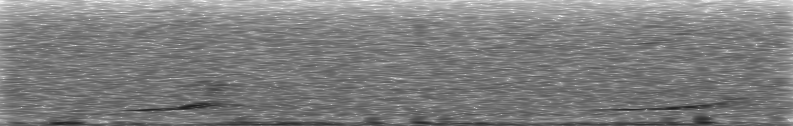 [Loading Spectrogram]