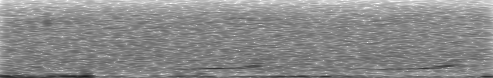 [Loading Spectrogram]