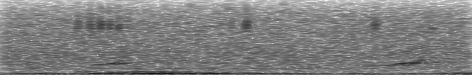 [Loading Spectrogram]