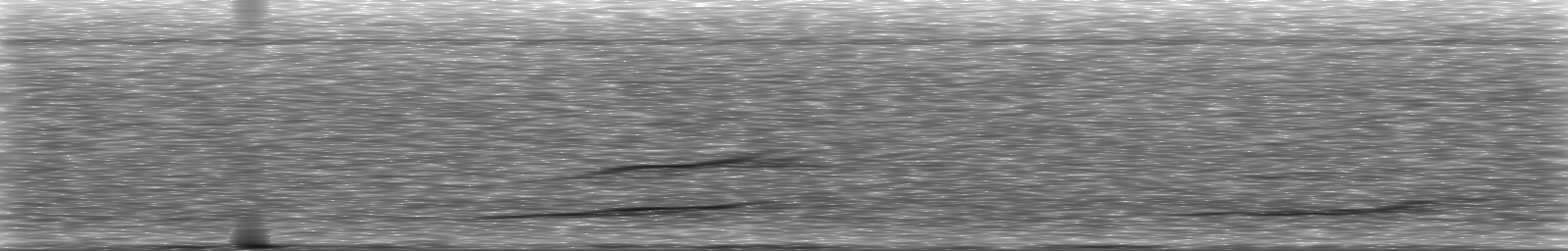 [Loading Spectrogram]