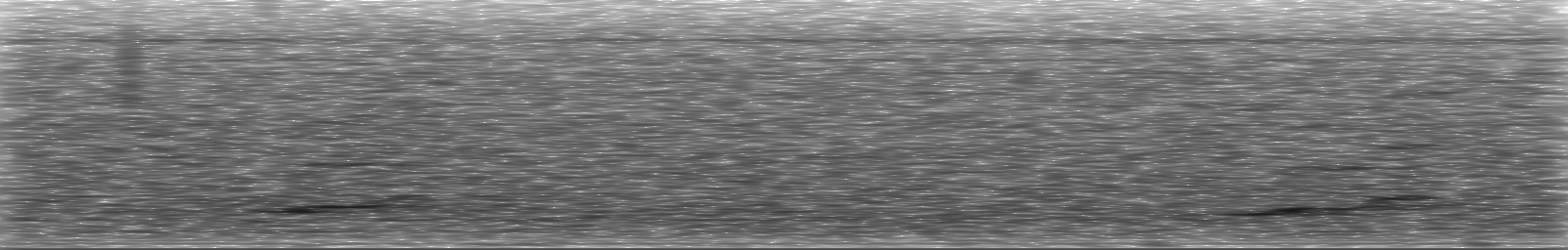 [Loading Spectrogram]