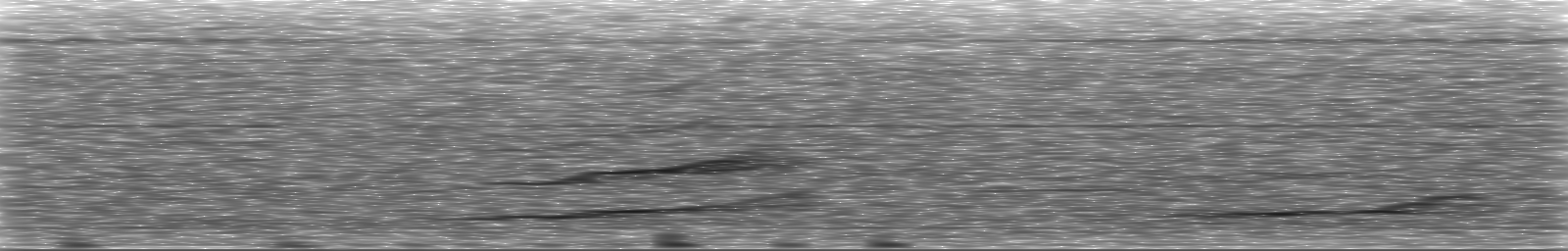 [Loading Spectrogram]