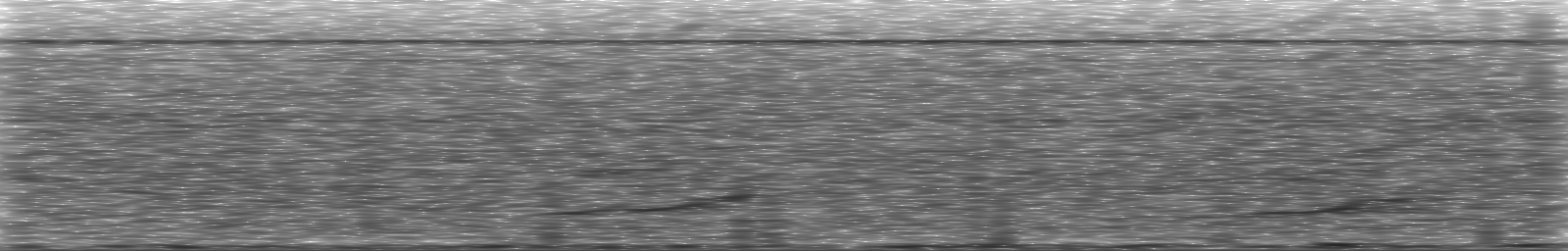 [Loading Spectrogram]