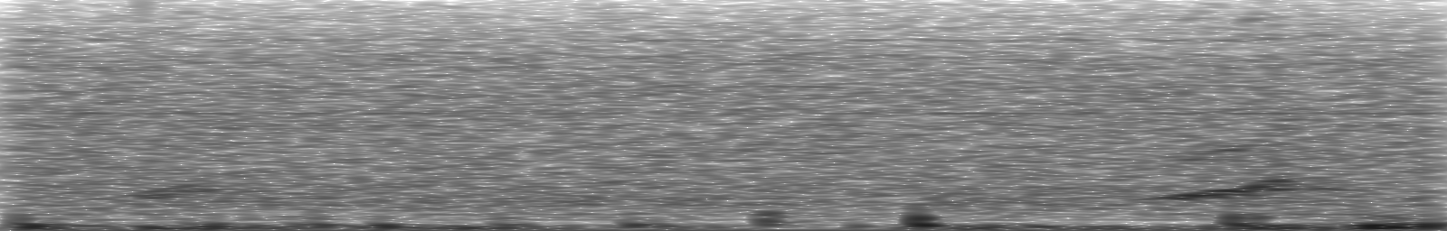 [Loading Spectrogram]