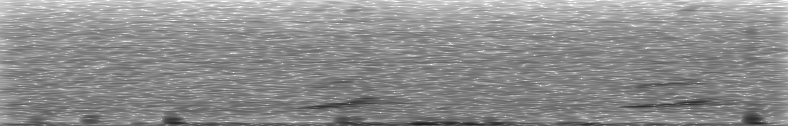 [Loading Spectrogram]