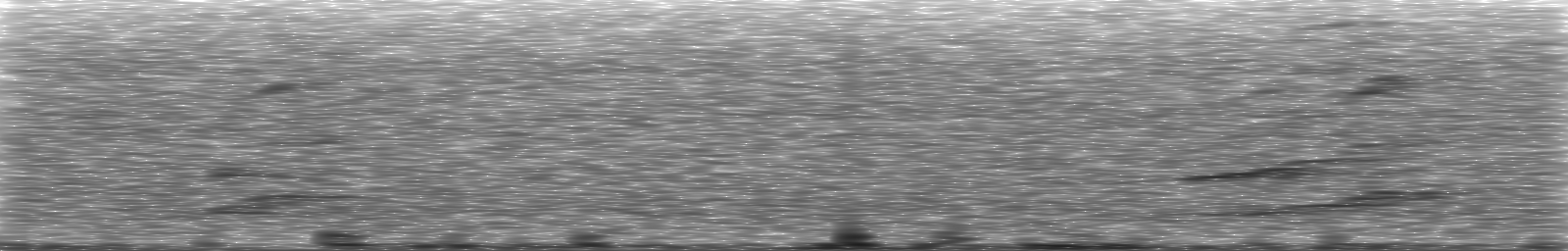 [Loading Spectrogram]