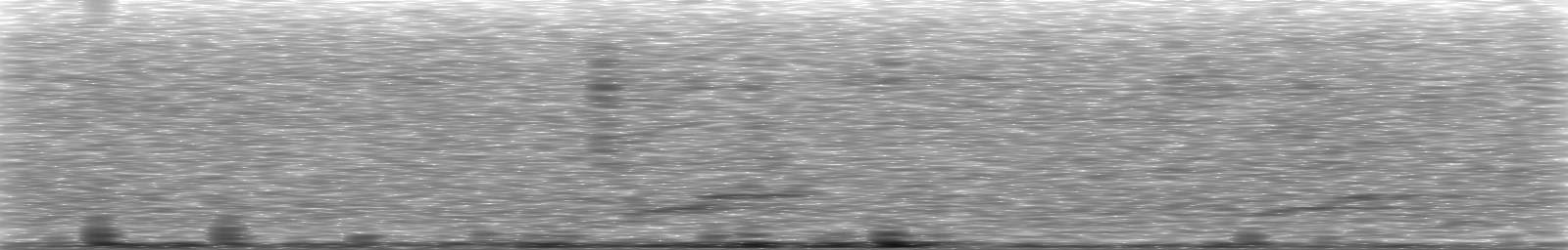 [Loading Spectrogram]