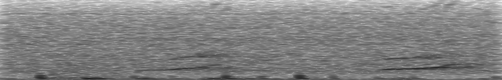 [Loading Spectrogram]