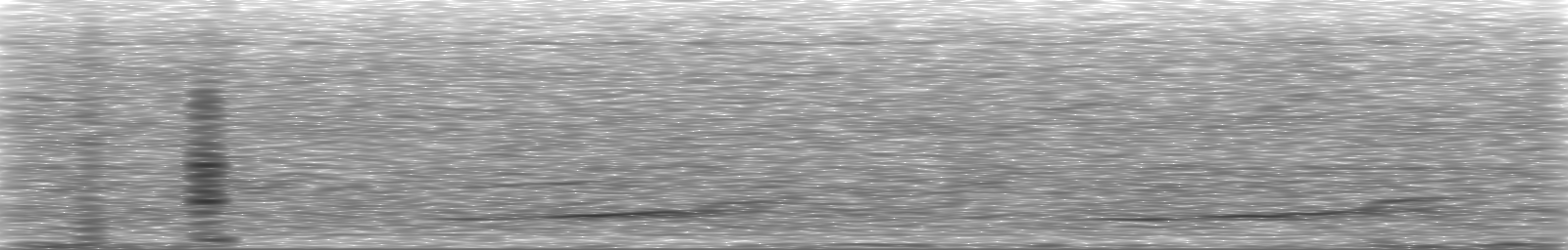 [Loading Spectrogram]