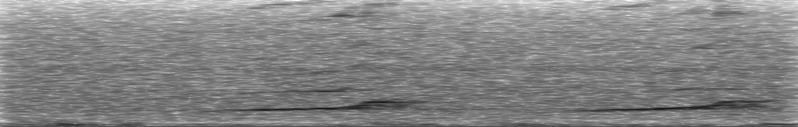 [Loading Spectrogram]