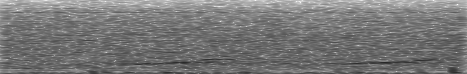 [Loading Spectrogram]