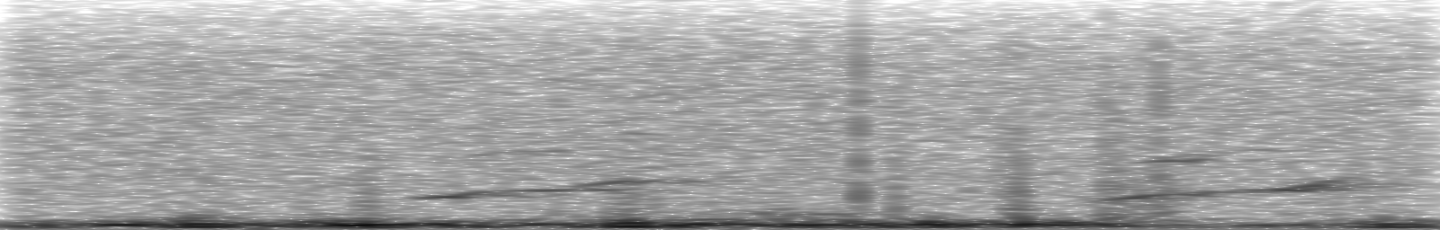 [Loading Spectrogram]