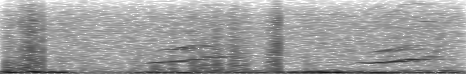 [Loading Spectrogram]