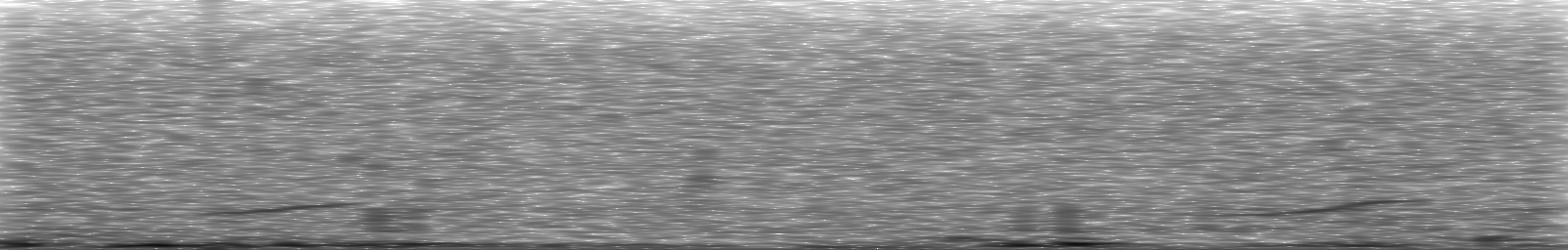 [Loading Spectrogram]