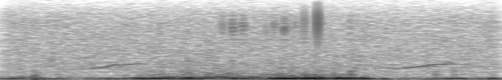 [Loading Spectrogram]