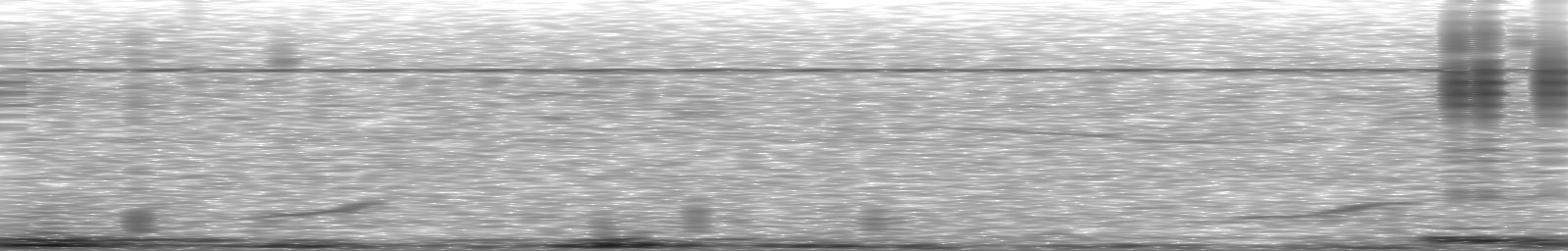 [Loading Spectrogram]