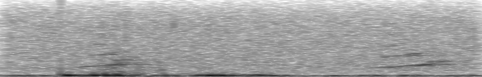 [Loading Spectrogram]