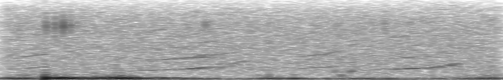 [Loading Spectrogram]