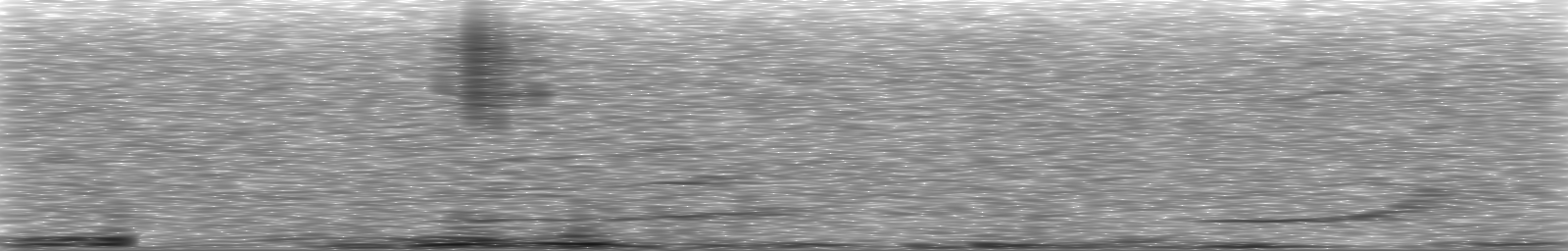 [Loading Spectrogram]