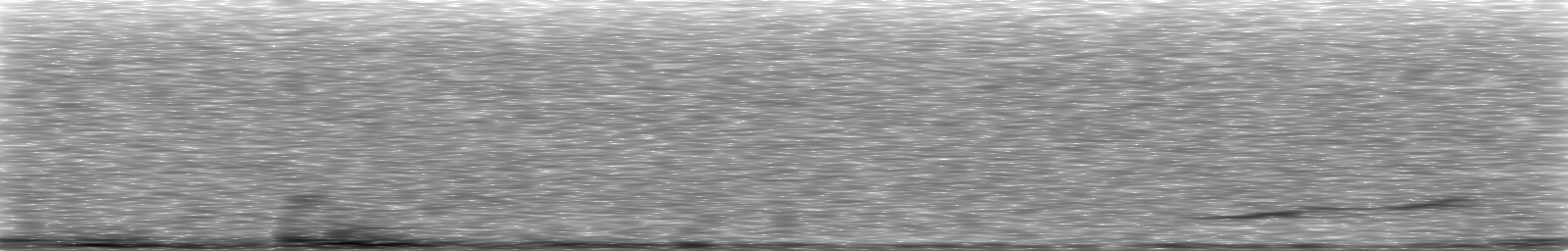 [Loading Spectrogram]