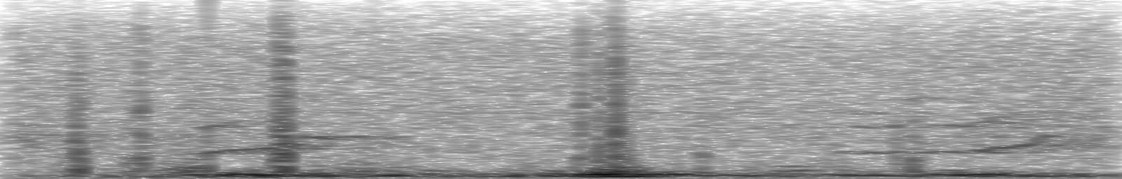 [Loading Spectrogram]