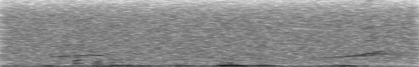 [Loading Spectrogram]