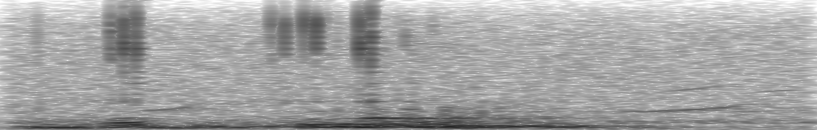 [Loading Spectrogram]