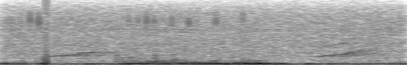 [Loading Spectrogram]