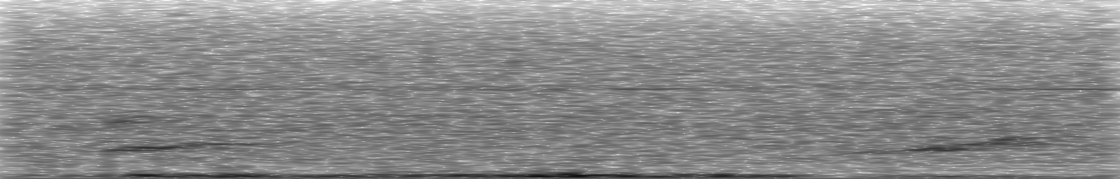 [Loading Spectrogram]