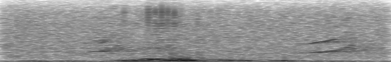 [Loading Spectrogram]