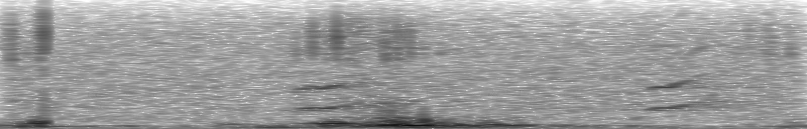 [Loading Spectrogram]