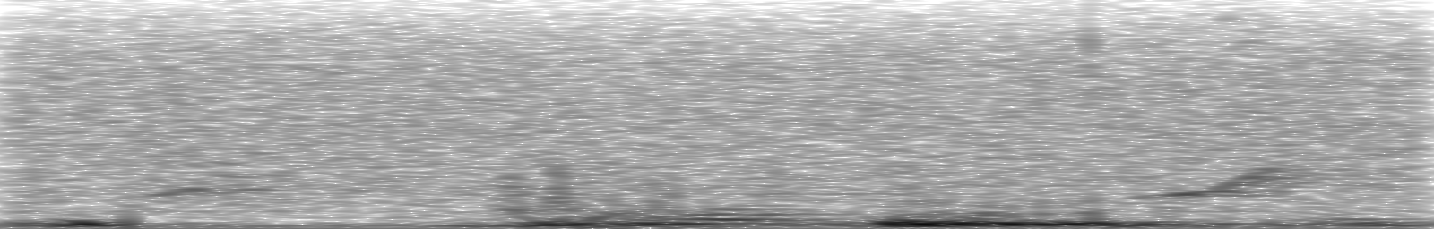 [Loading Spectrogram]