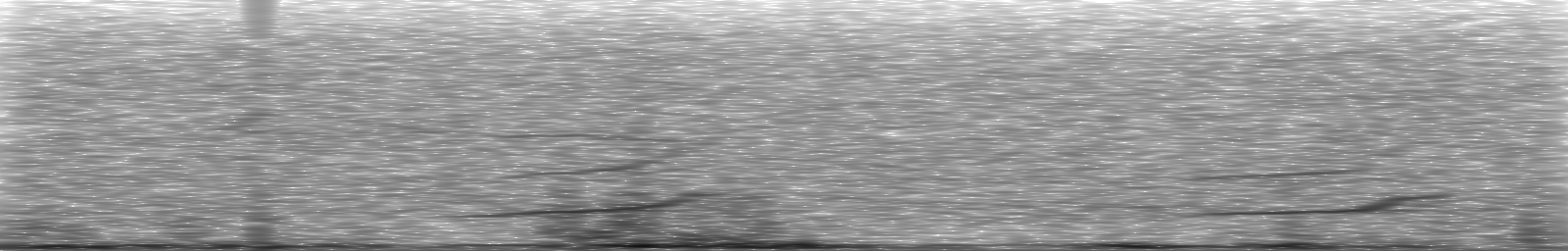 [Loading Spectrogram]