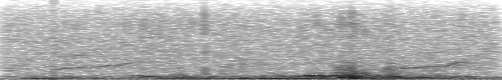 [Loading Spectrogram]