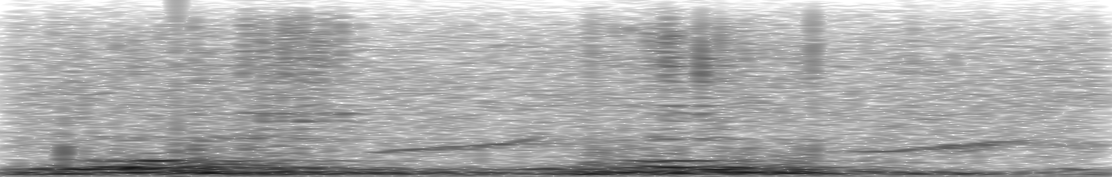 [Loading Spectrogram]