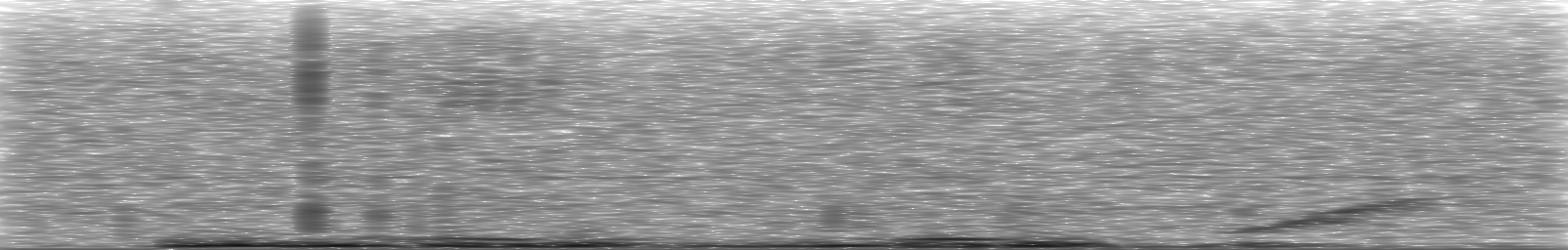 [Loading Spectrogram]