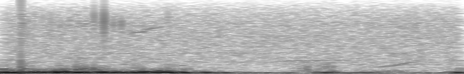 [Loading Spectrogram]