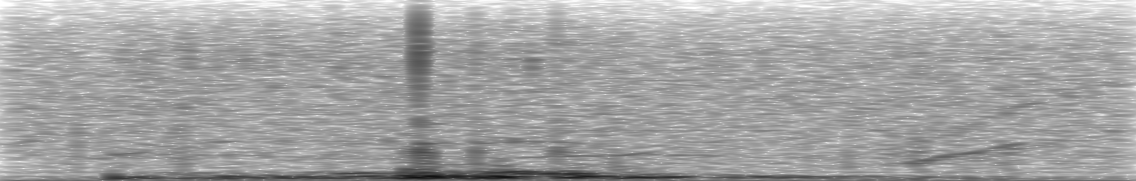 [Loading Spectrogram]