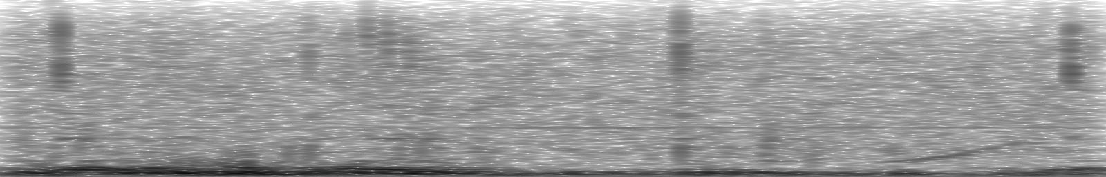 [Loading Spectrogram]