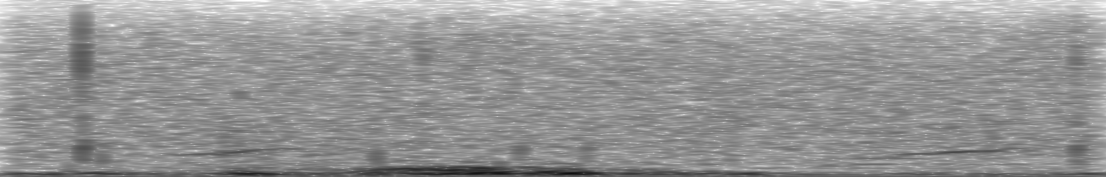 [Loading Spectrogram]