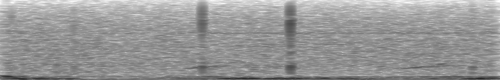 [Loading Spectrogram]