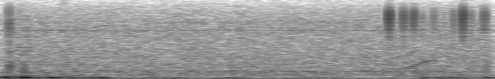 [Loading Spectrogram]