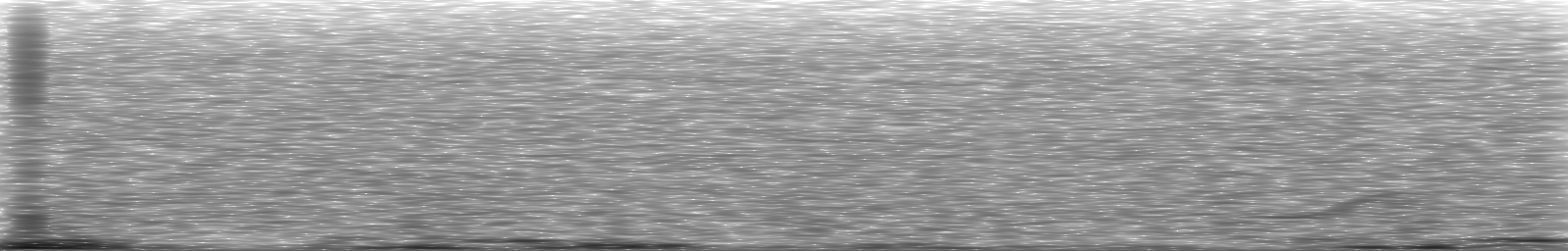 [Loading Spectrogram]