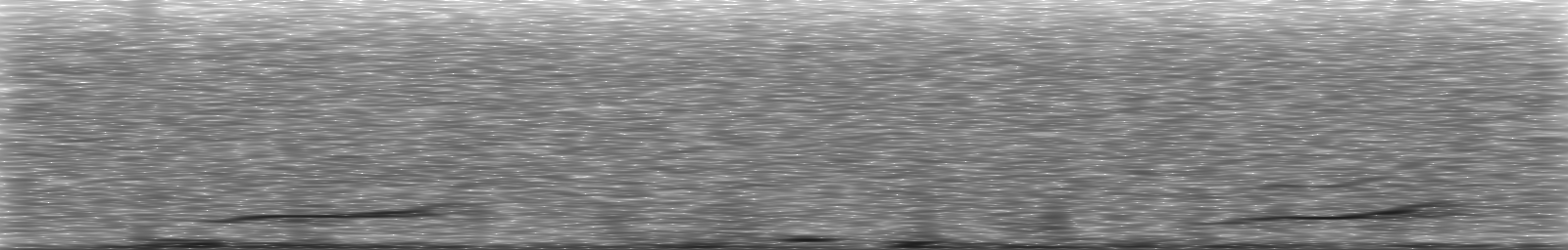 [Loading Spectrogram]