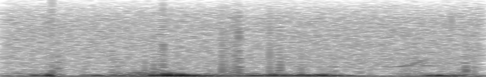 [Loading Spectrogram]