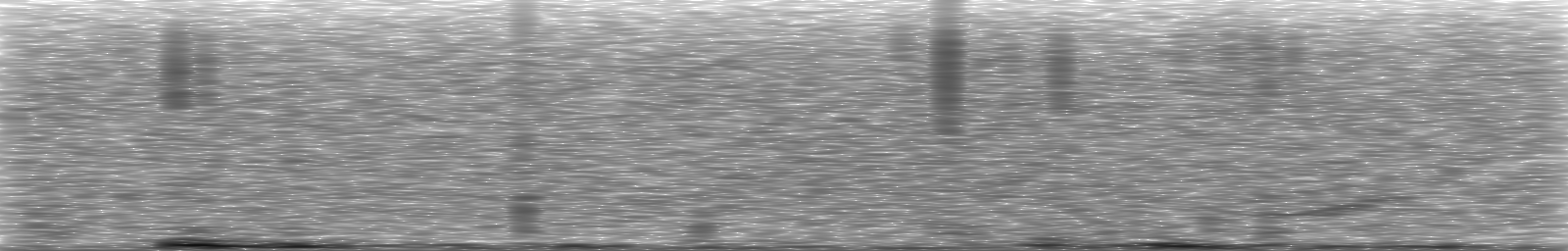 [Loading Spectrogram]