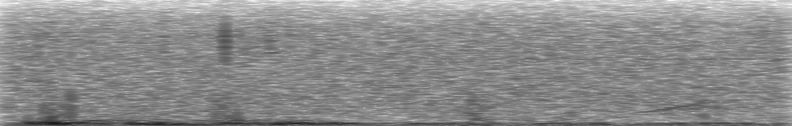 [Loading Spectrogram]